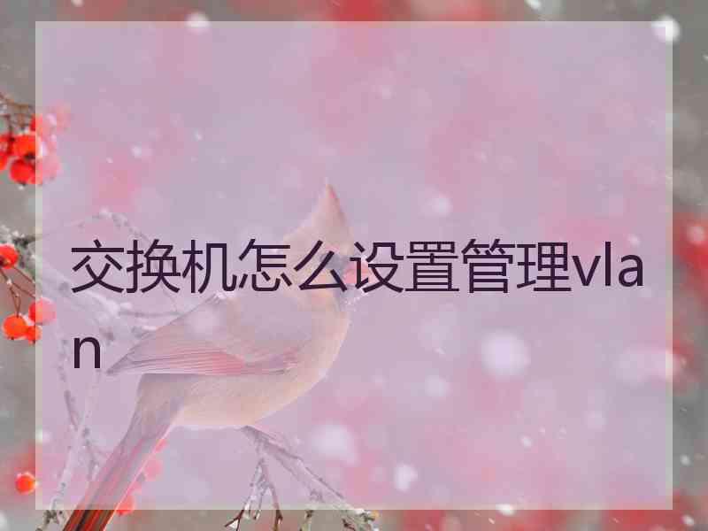 交换机怎么设置管理vlan