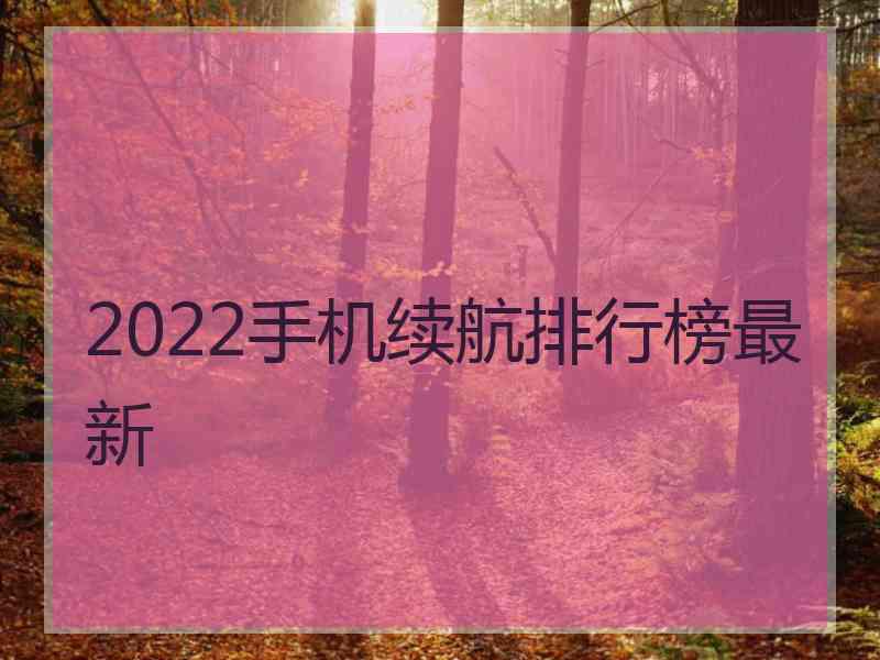 2022手机续航排行榜最新