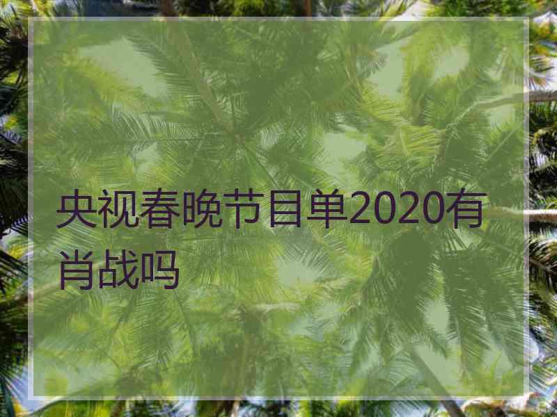 央视春晚节目单2020有肖战吗