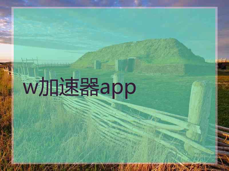 w加速器app