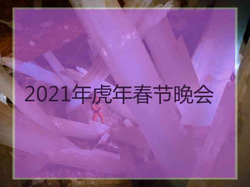 2021年虎年春节晚会