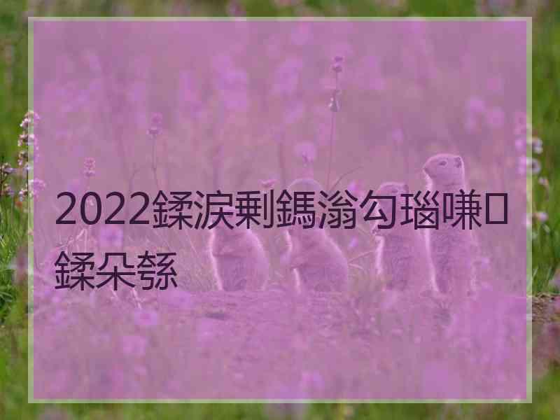 2022鍒涙剰鎷滃勾瑙嗛鍒朵綔