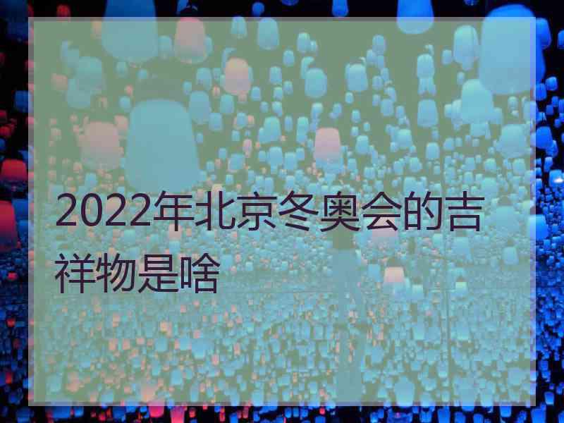 2022年北京冬奥会的吉祥物是啥