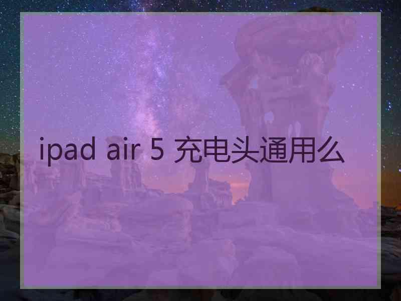 ipad air 5 充电头通用么