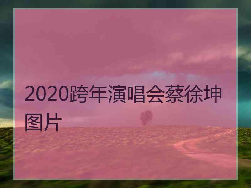 2020跨年演唱会蔡徐坤图片