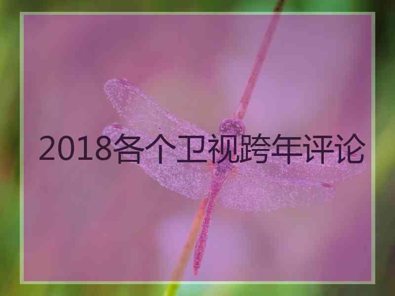 2018各个卫视跨年评论