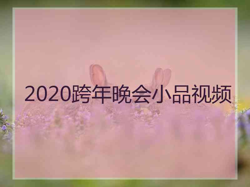 2020跨年晚会小品视频