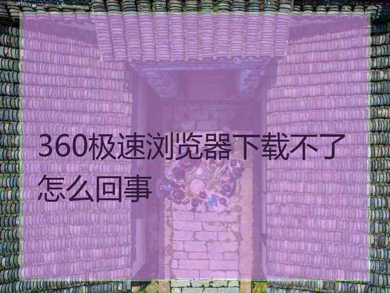 360极速浏览器下载不了怎么回事