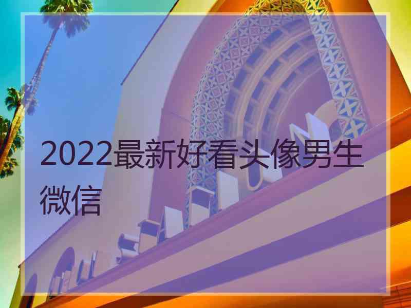 2022最新好看头像男生微信