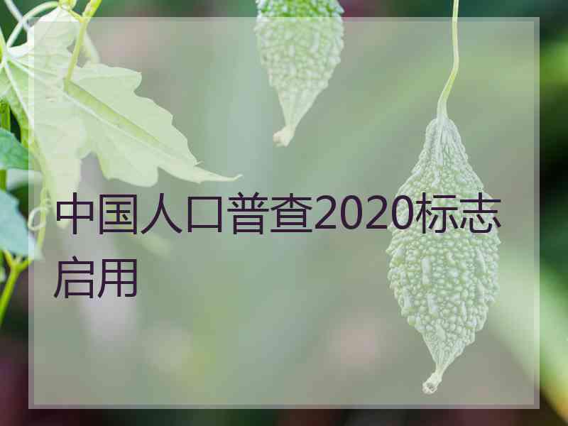 中国人口普查2020标志启用