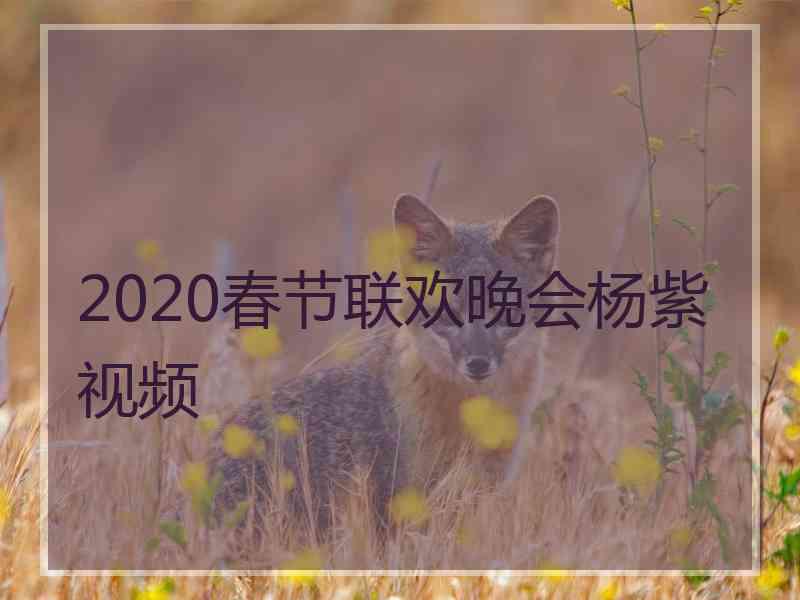 2020春节联欢晚会杨紫视频