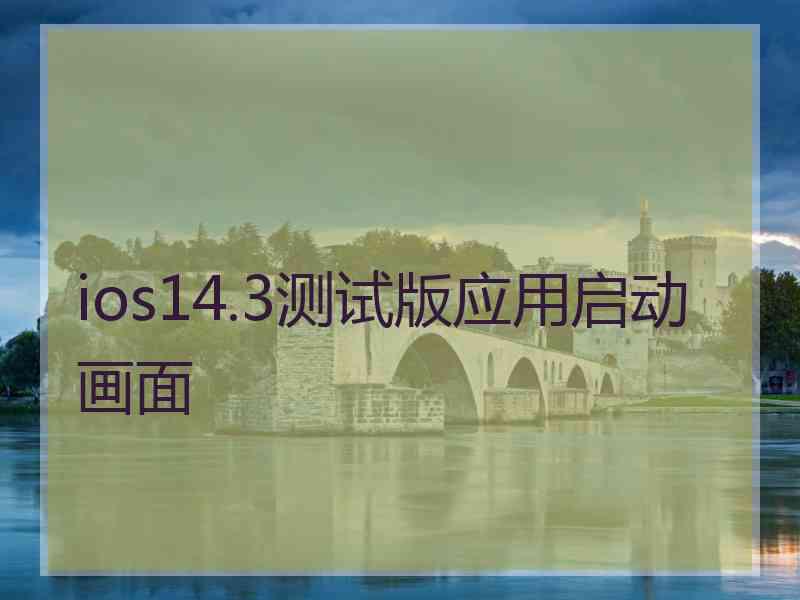 ios14.3测试版应用启动画面