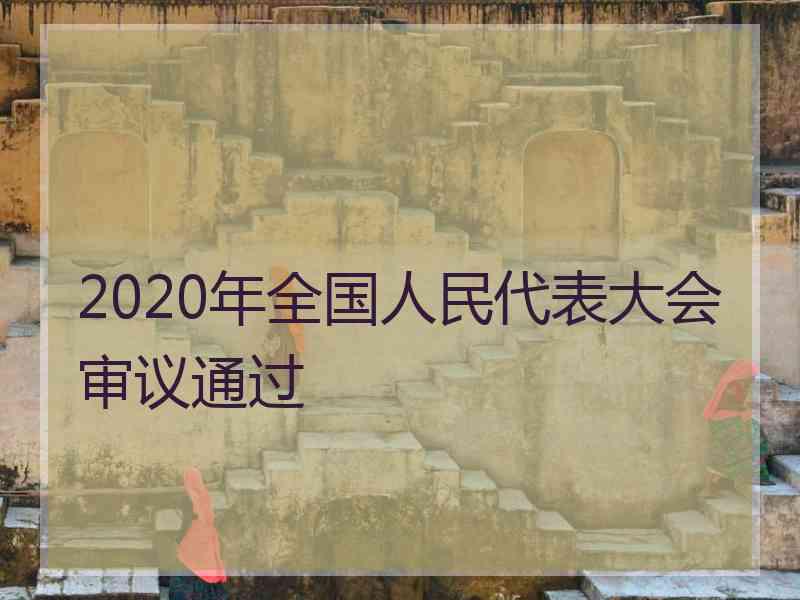 2020年全国人民代表大会审议通过