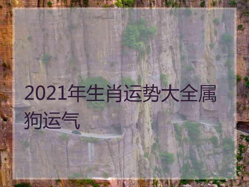 2021年生肖运势大全属狗运气