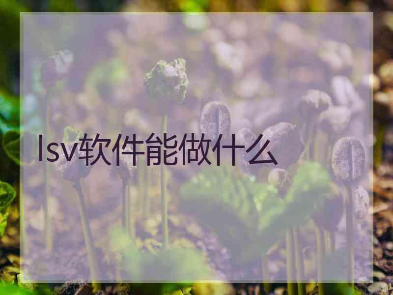 lsv软件能做什么