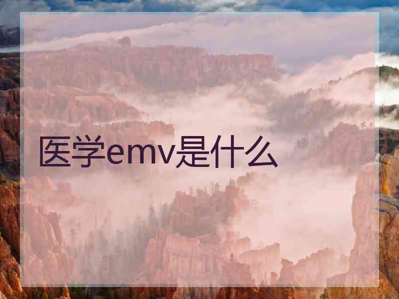 医学emv是什么