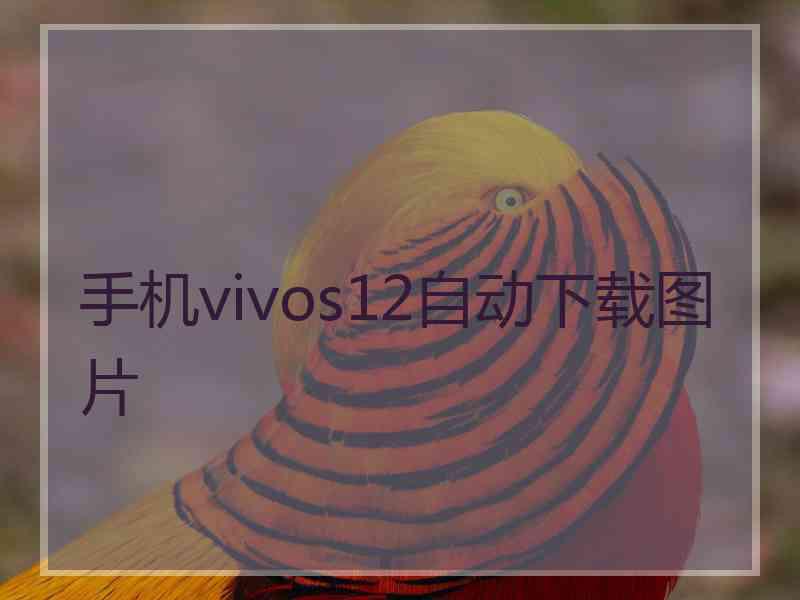 手机vivos12自动下载图片