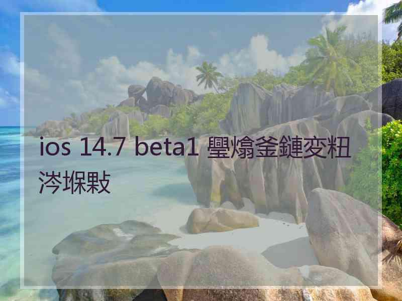 ios 14.7 beta1 璺熻釜鏈変粈涔堢敤