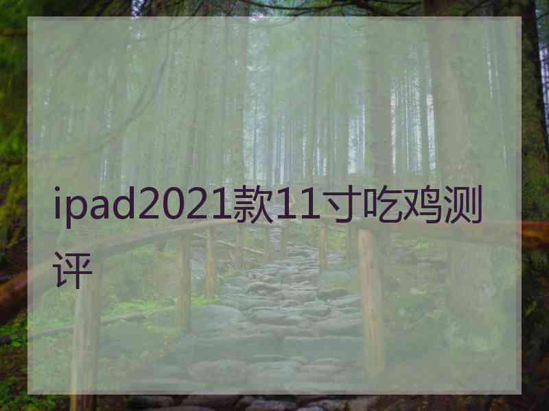 ipad2021款11寸吃鸡测评