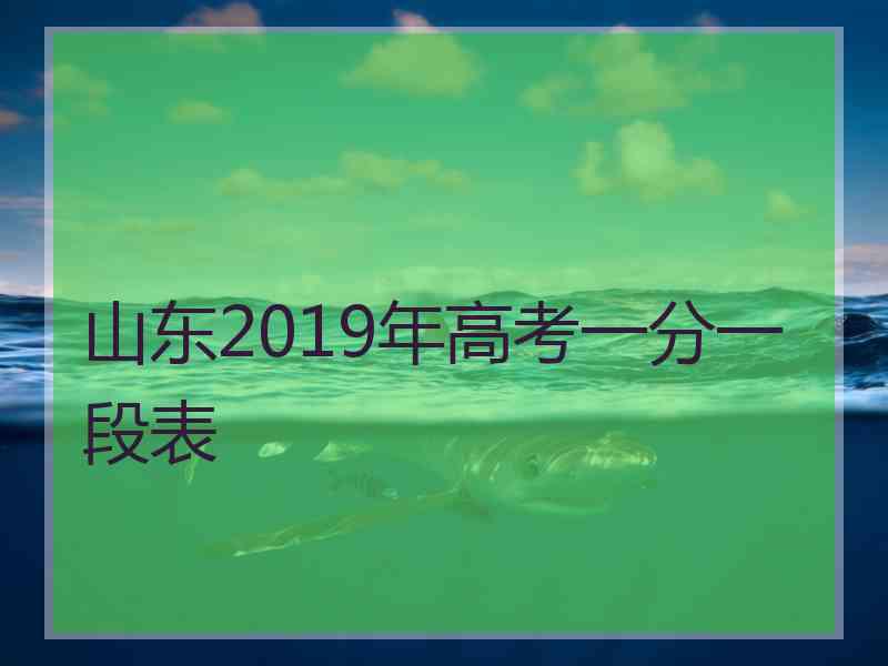 山东2019年高考一分一段表