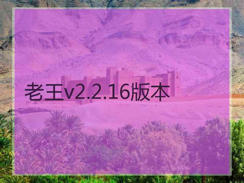 老王v2.2.16版本