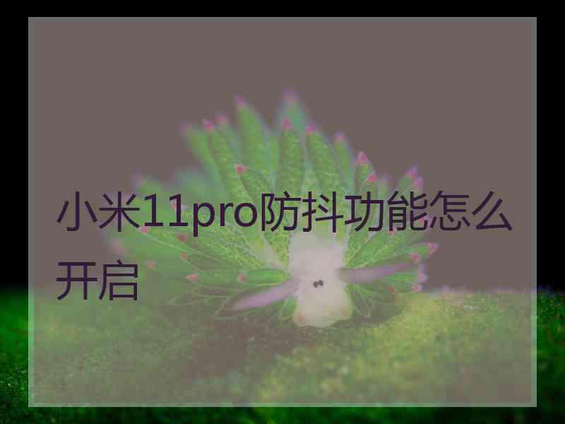 小米11pro防抖功能怎么开启