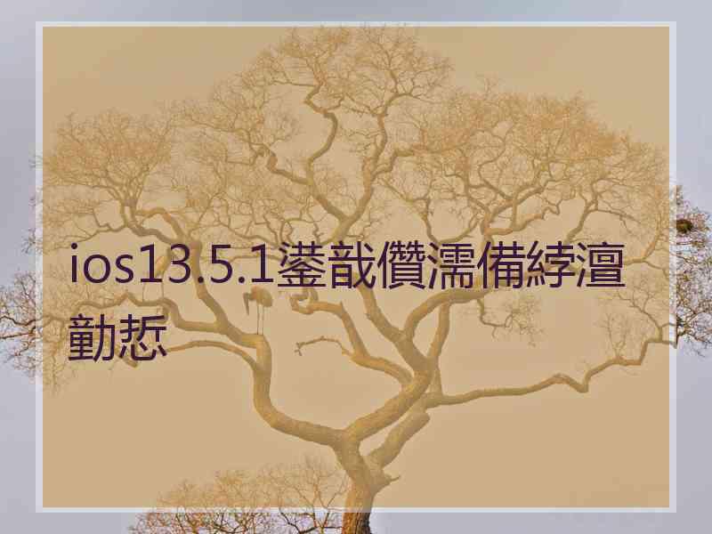 ios13.5.1鍙戠儹濡備綍澶勭悊