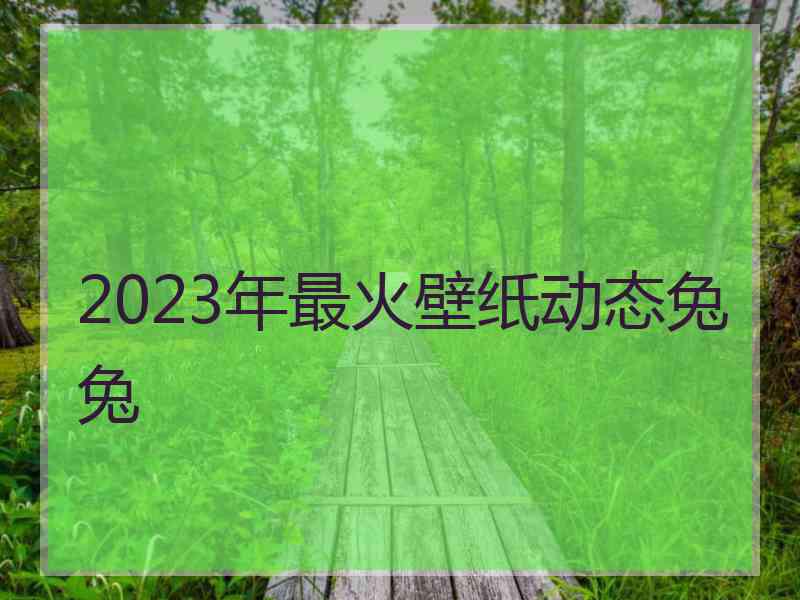 2023年最火壁纸动态兔兔