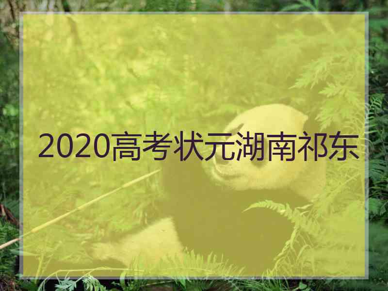 2020高考状元湖南祁东