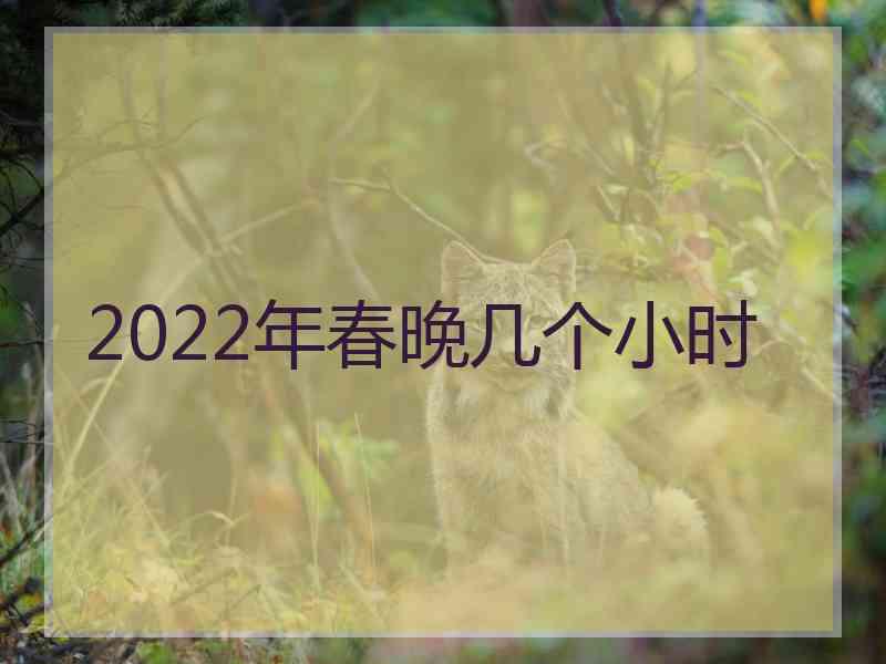 2022年春晚几个小时