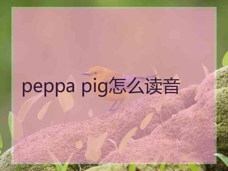 peppa pig怎么读音