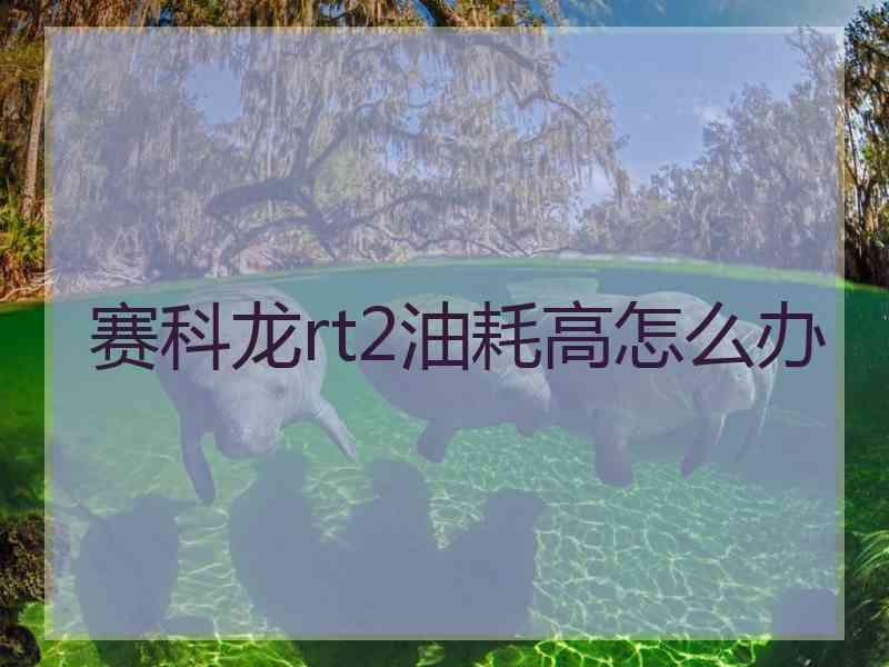 赛科龙rt2油耗高怎么办