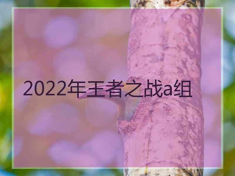 2022年王者之战a组