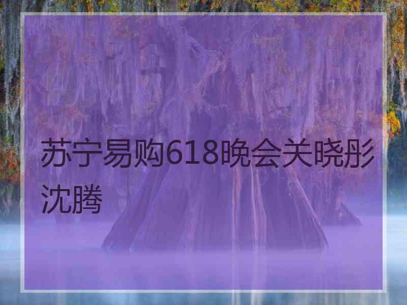 苏宁易购618晚会关晓彤沈腾