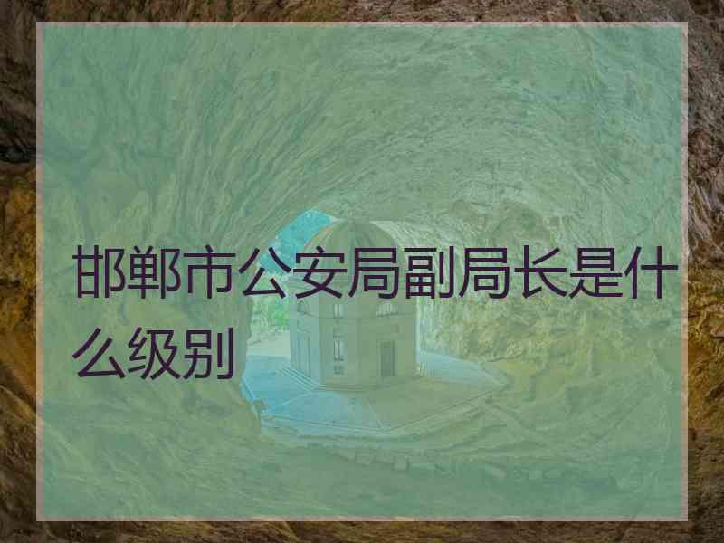 邯郸市公安局副局长是什么级别