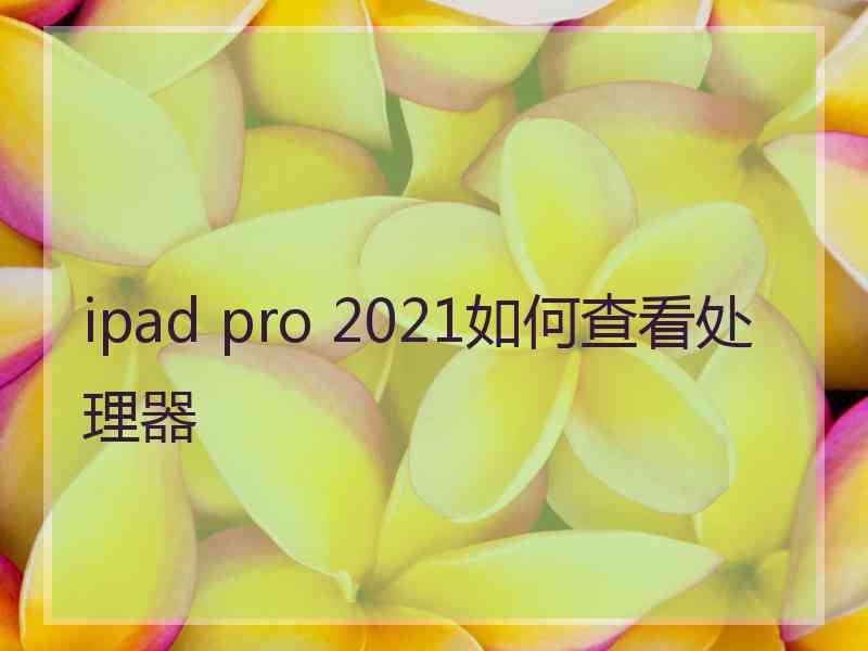 ipad pro 2021如何查看处理器