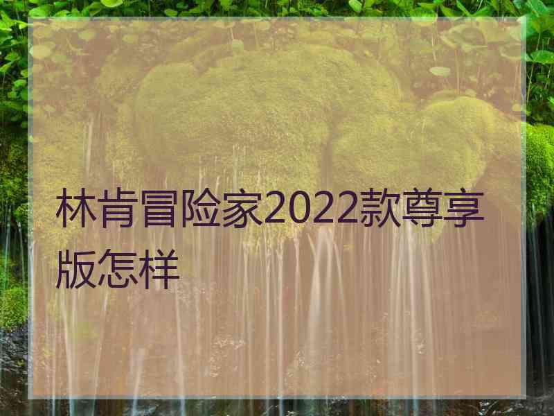 林肯冒险家2022款尊享版怎样