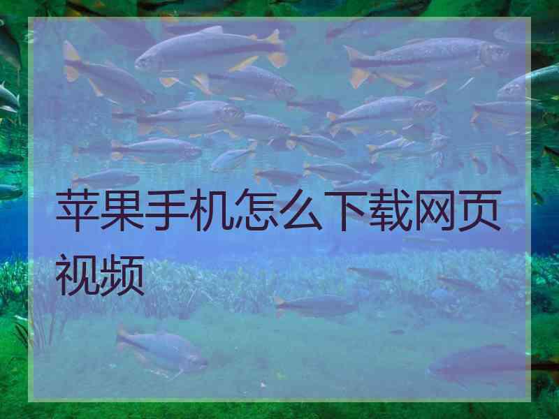 苹果手机怎么下载网页视频