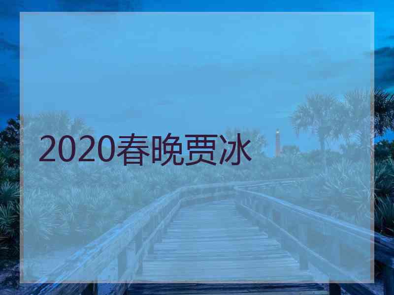 2020春晚贾冰