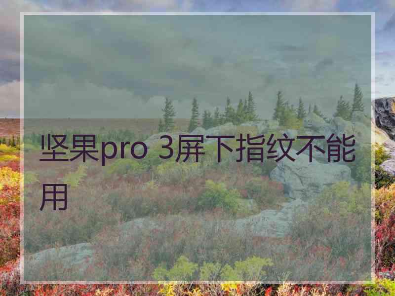 坚果pro 3屏下指纹不能用