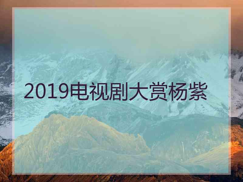 2019电视剧大赏杨紫