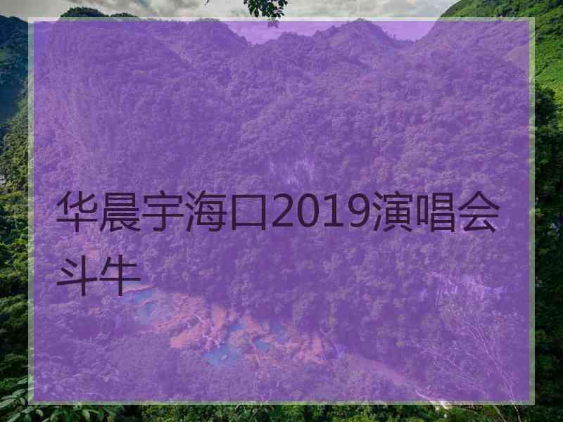 华晨宇海口2019演唱会斗牛