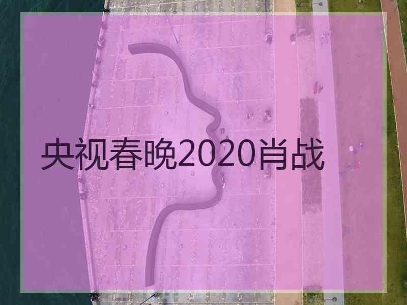 央视春晚2020肖战