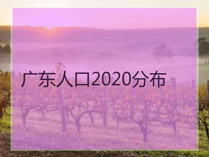 广东人口2020分布