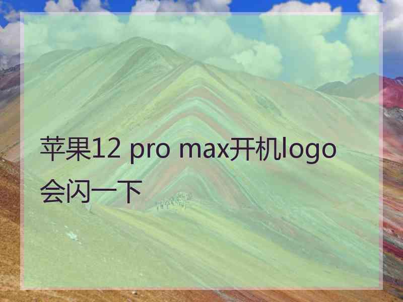 苹果12 pro max开机logo会闪一下