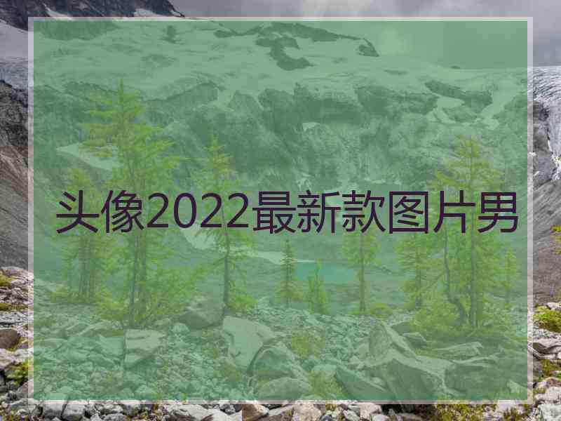 头像2022最新款图片男