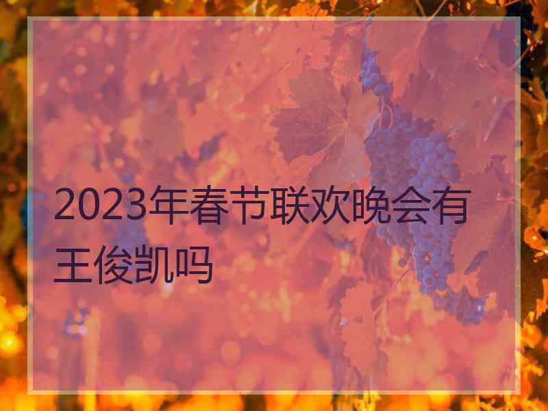 2023年春节联欢晚会有王俊凯吗