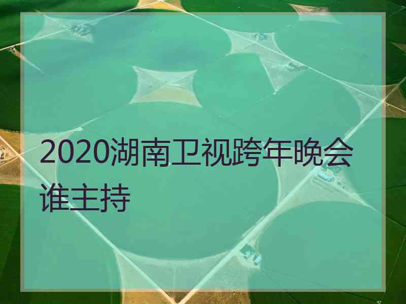 2020湖南卫视跨年晚会谁主持