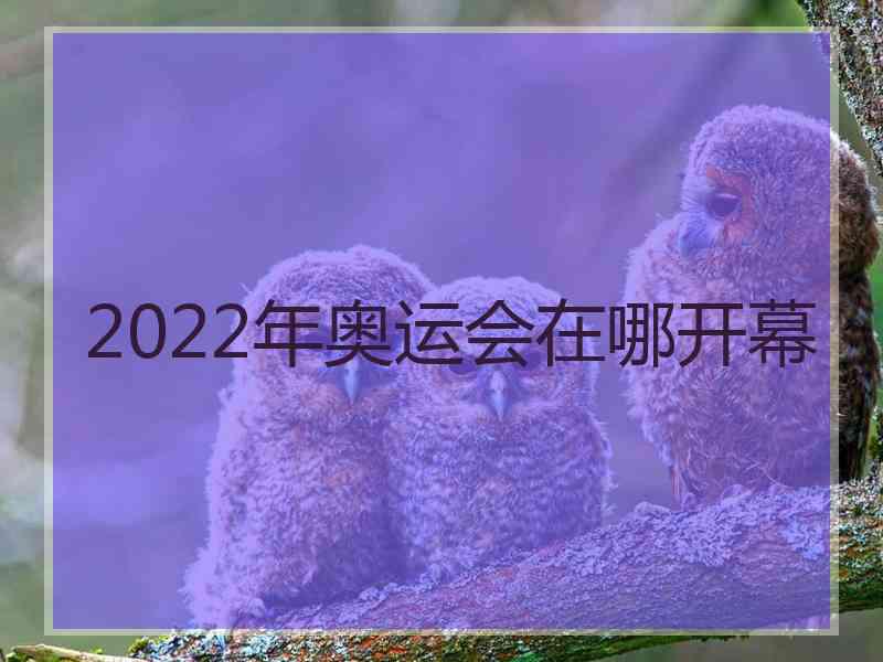 2022年奥运会在哪开幕