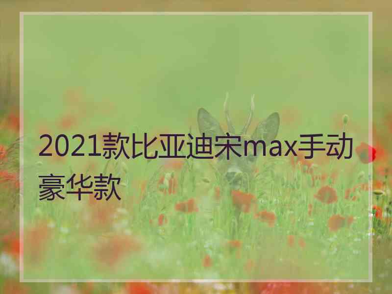 2021款比亚迪宋max手动豪华款